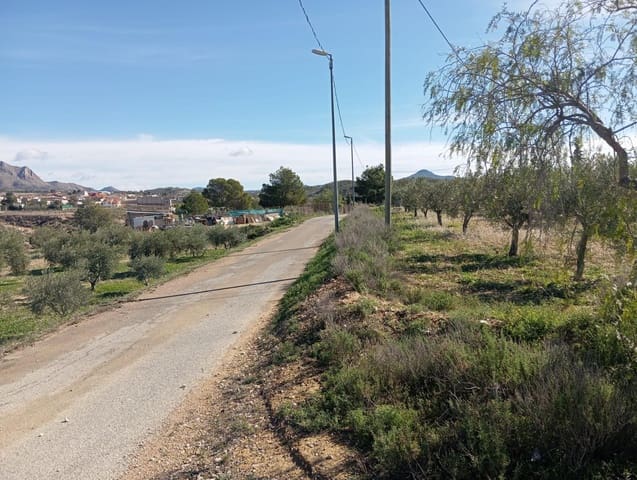 Mark till salu i Barinas, Abanilla - 34 500 € (Ref: 9980552)