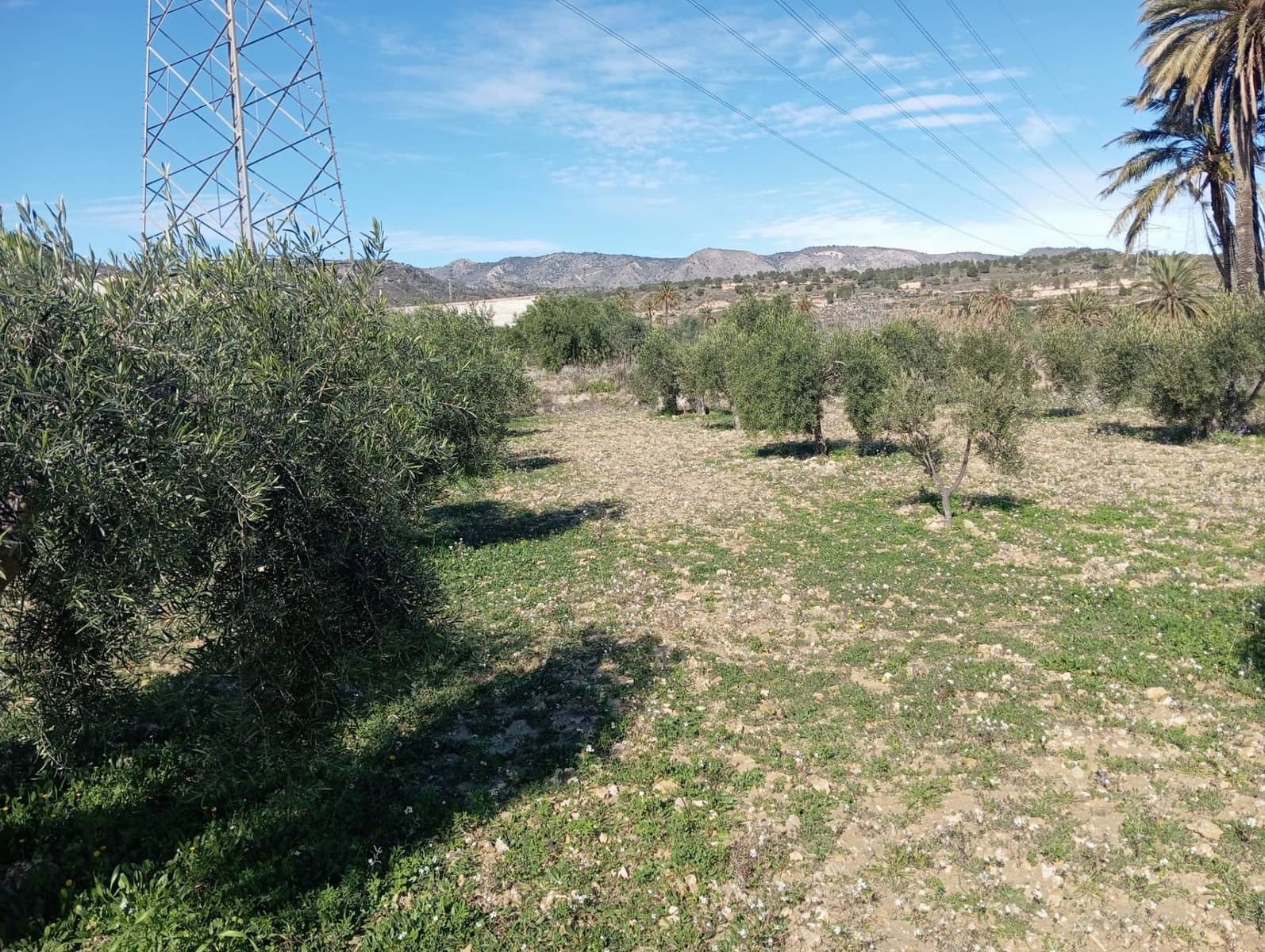 Terre non Aménagée à vendre à Barinas - 34 500 € (Ref: 9980552)