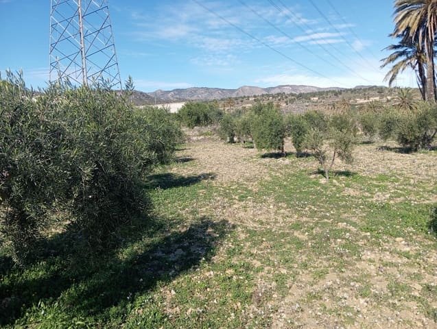 Mark till salu i Barinas, Abanilla - 34 500 € (Ref: 9980552)