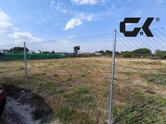 Terreno/Finca Rústica en Molina de Segura en venta - 130.000 € (Ref: 9980560)