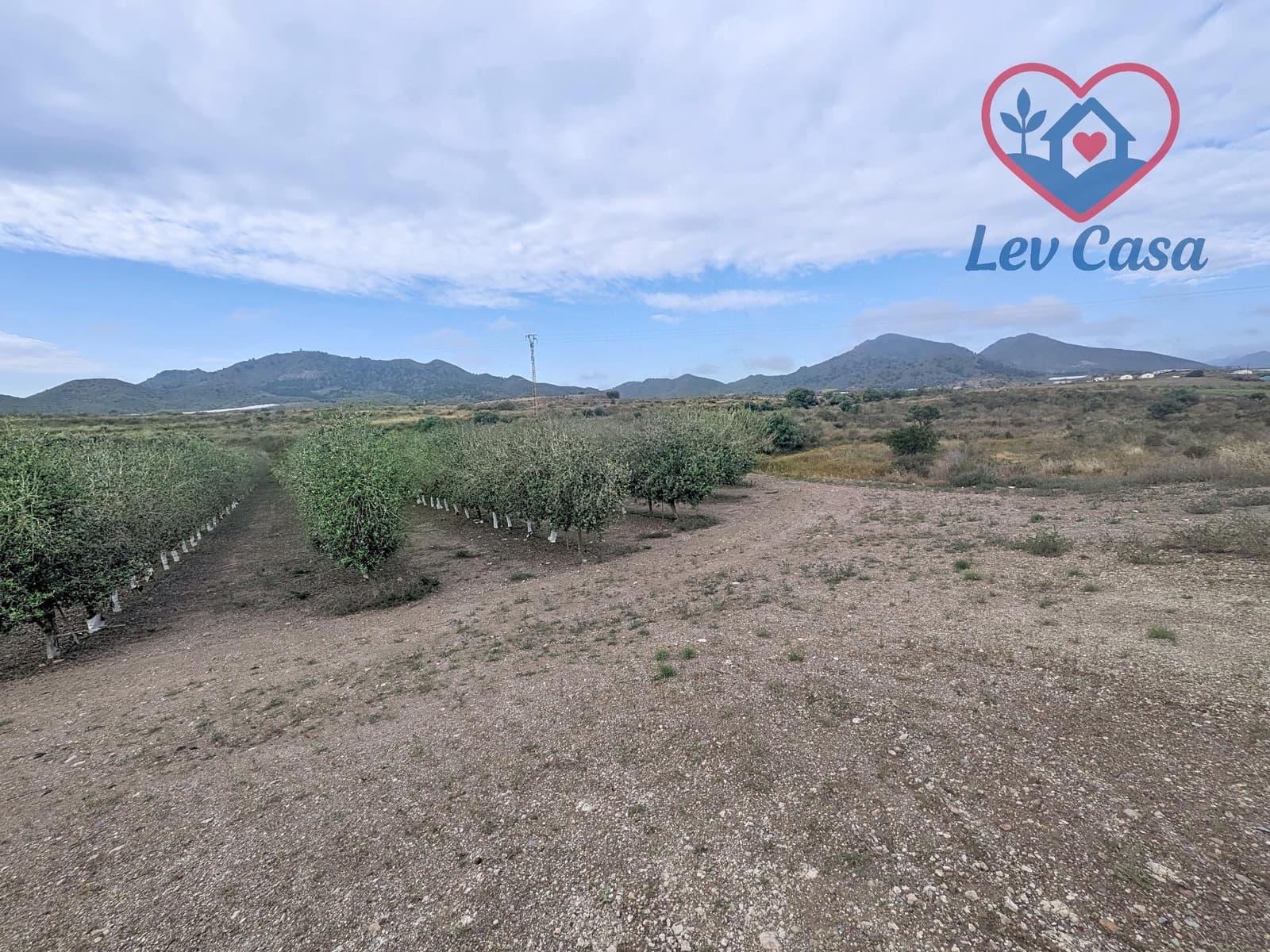 1 sypialnia Finka/Dom wiejski na sprzedaż w Mazarron - 139 800 € (Ref: 9980571)