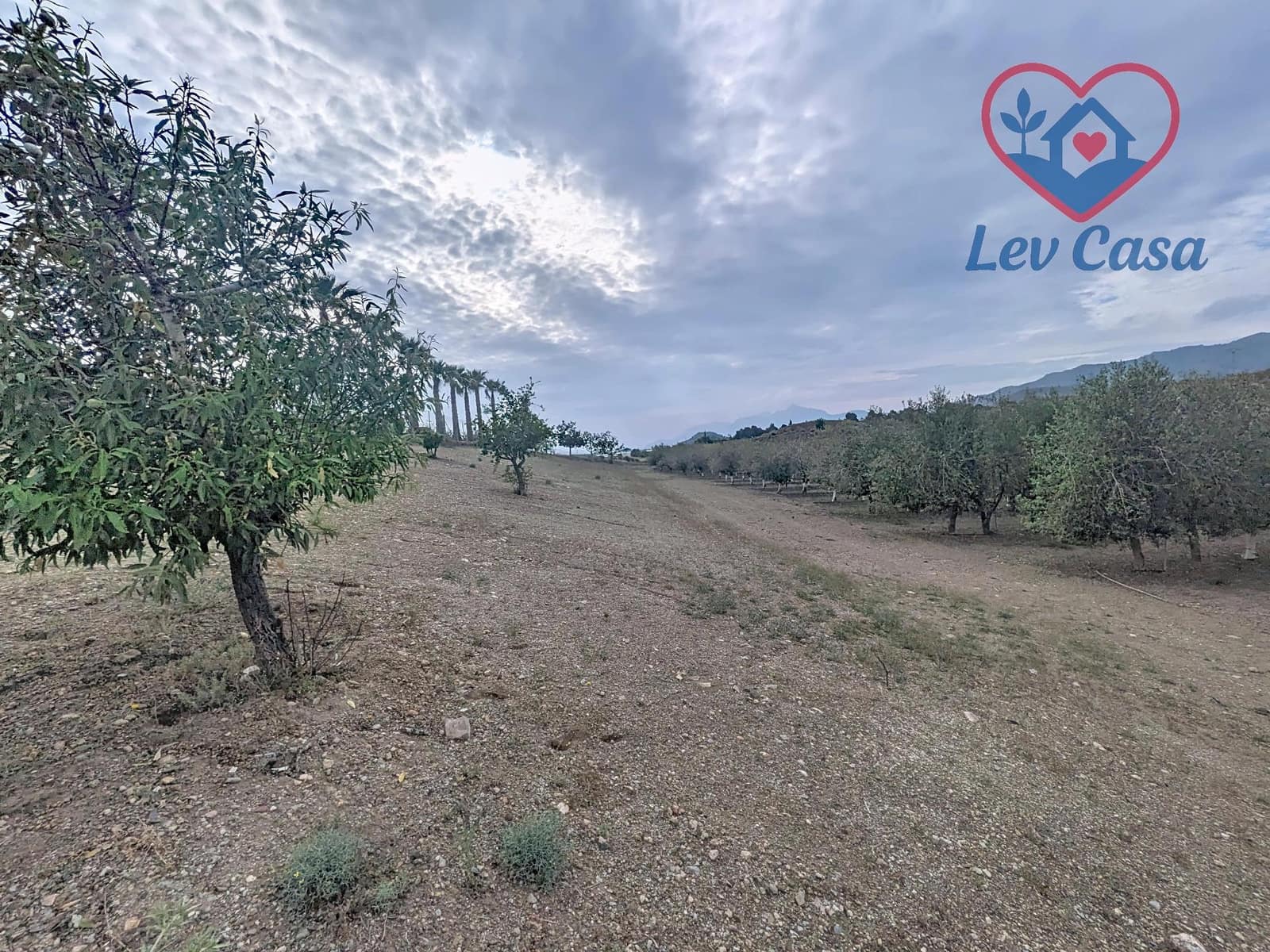 1 sypialnia Finka/Dom wiejski na sprzedaż w Mazarron - 139 800 € (Ref: 9980571)
