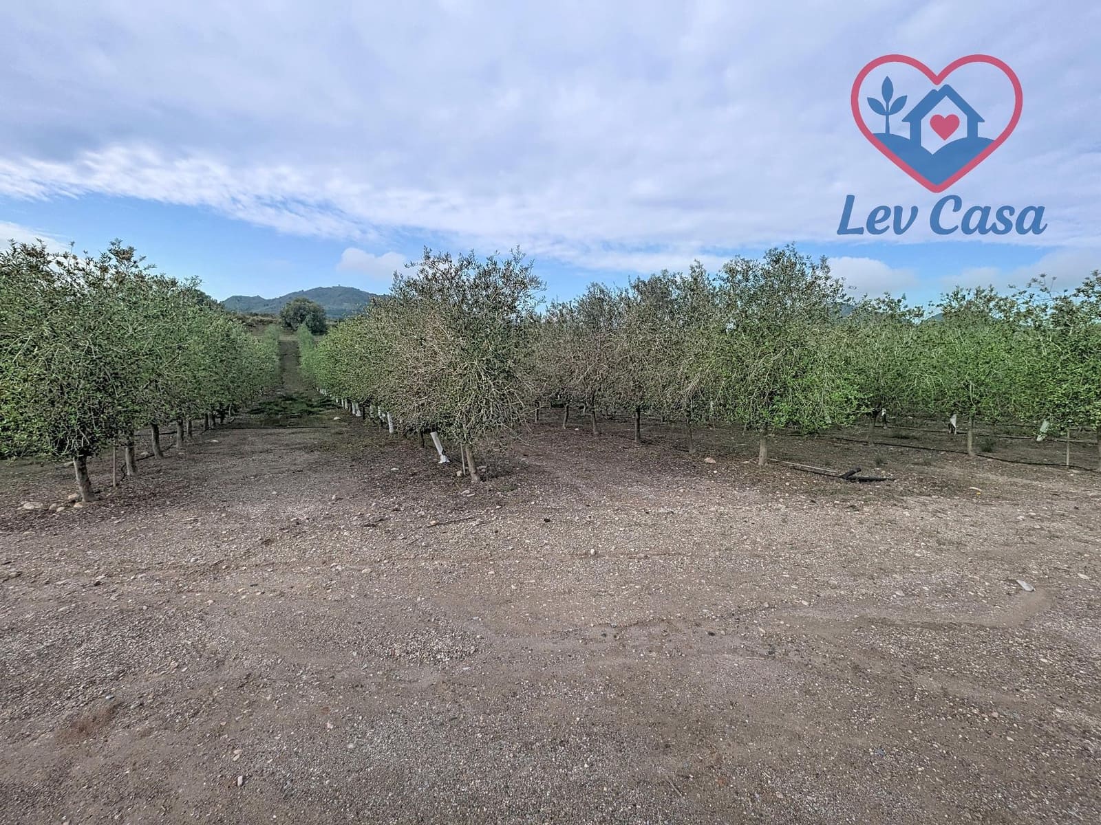 1 sypialnia Finka/Dom wiejski na sprzedaż w Mazarron - 139 800 € (Ref: 9980571)