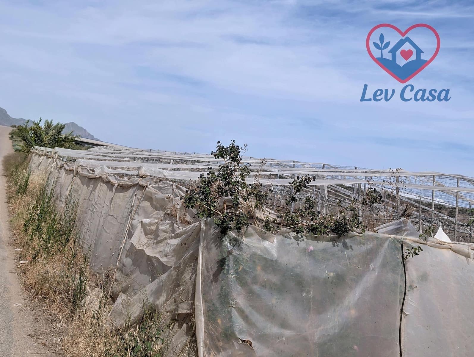 Finca/Landgut zu verkaufen in Ramonete - 169.800 € (Ref: 9980573)