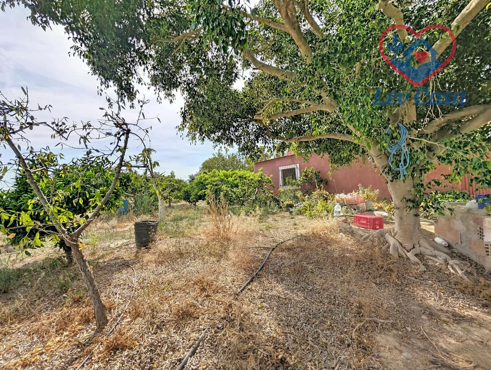 Finca/Landgut zu verkaufen in Ramonete - 169.800 € (Ref: 9980573)