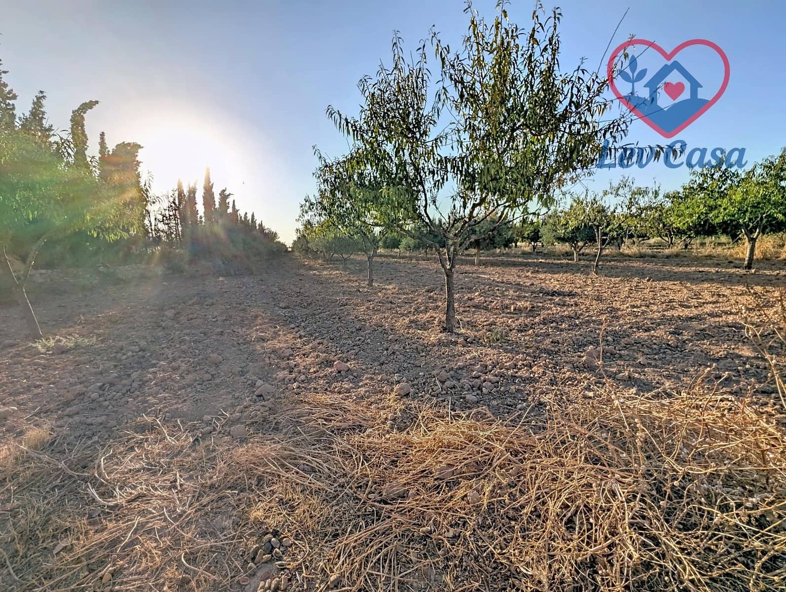 4 camera da letto Finca/Casa di Campagna in vendita in La Pinilla - 115.000 € (Rif: 9999812)