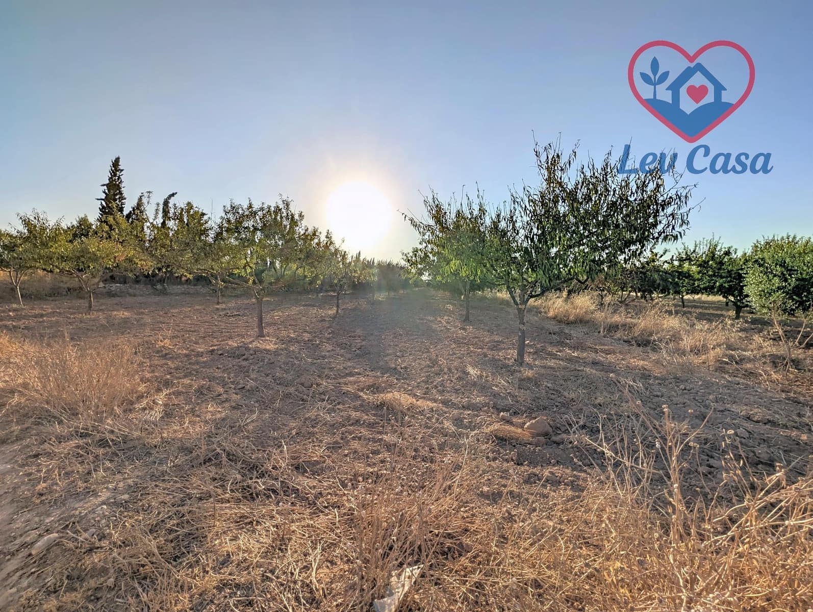 4 camera da letto Finca/Casa di Campagna in vendita in La Pinilla - 115.000 € (Rif: 9999812)