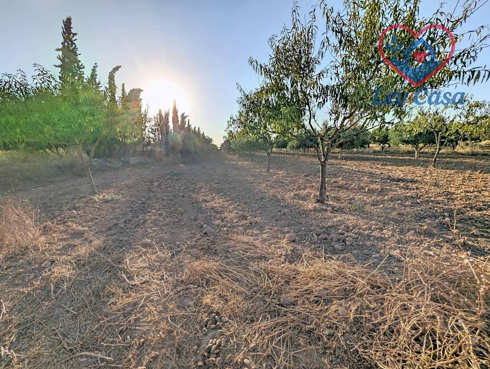 4 camera da letto Finca/Casa di Campagna in vendita in La Pinilla - 115.000 € (Rif: 9999812)
