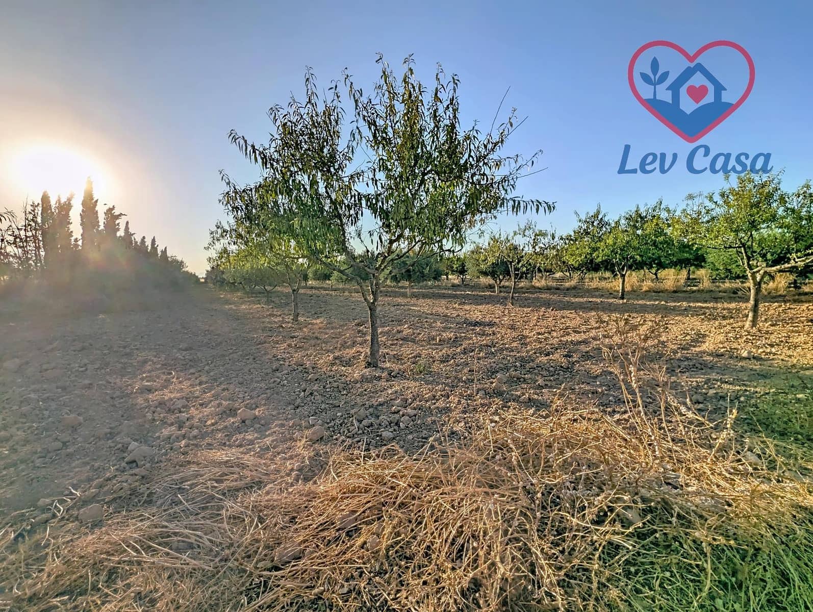 4 camera da letto Finca/Casa di Campagna in vendita in La Pinilla - 115.000 € (Rif: 9999812)