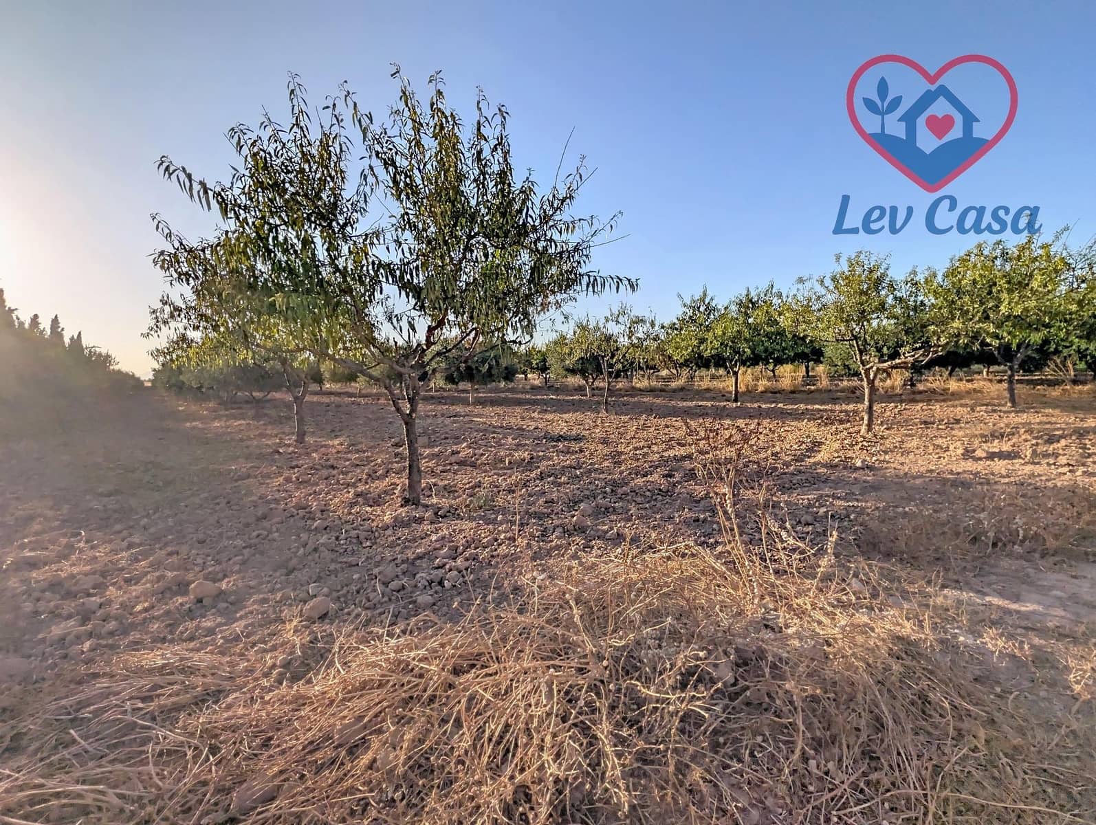 4 camera da letto Finca/Casa di Campagna in vendita in La Pinilla - 115.000 € (Rif: 9999812)