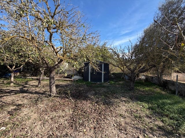 Undeveloped Land for sale in Santa Margalida - € 145,000 (Ref: 10185258)