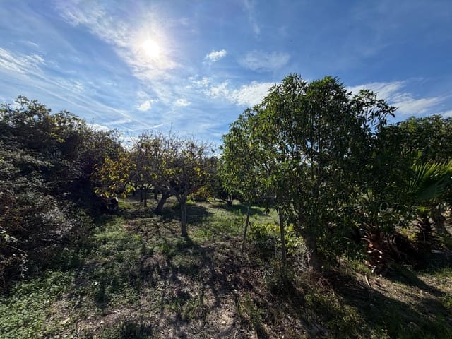 Undeveloped Land for sale in Santa Margalida - € 145,000 (Ref: 10185258)