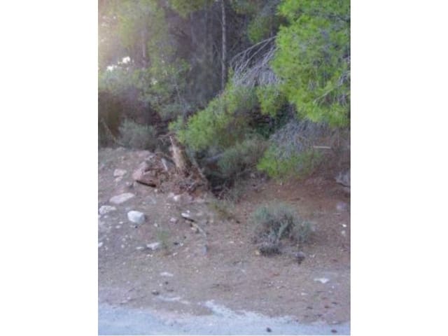 Building Plot for sale in Benicàssim - € 250,000 (Ref: 9982905)