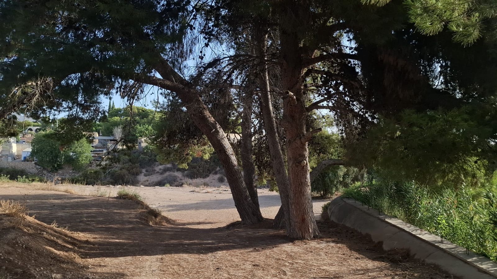 4 slaapkamer Bungalow te koop in Crevillente / Crevillent met garage - € 310.000 (Ref: 10016902)