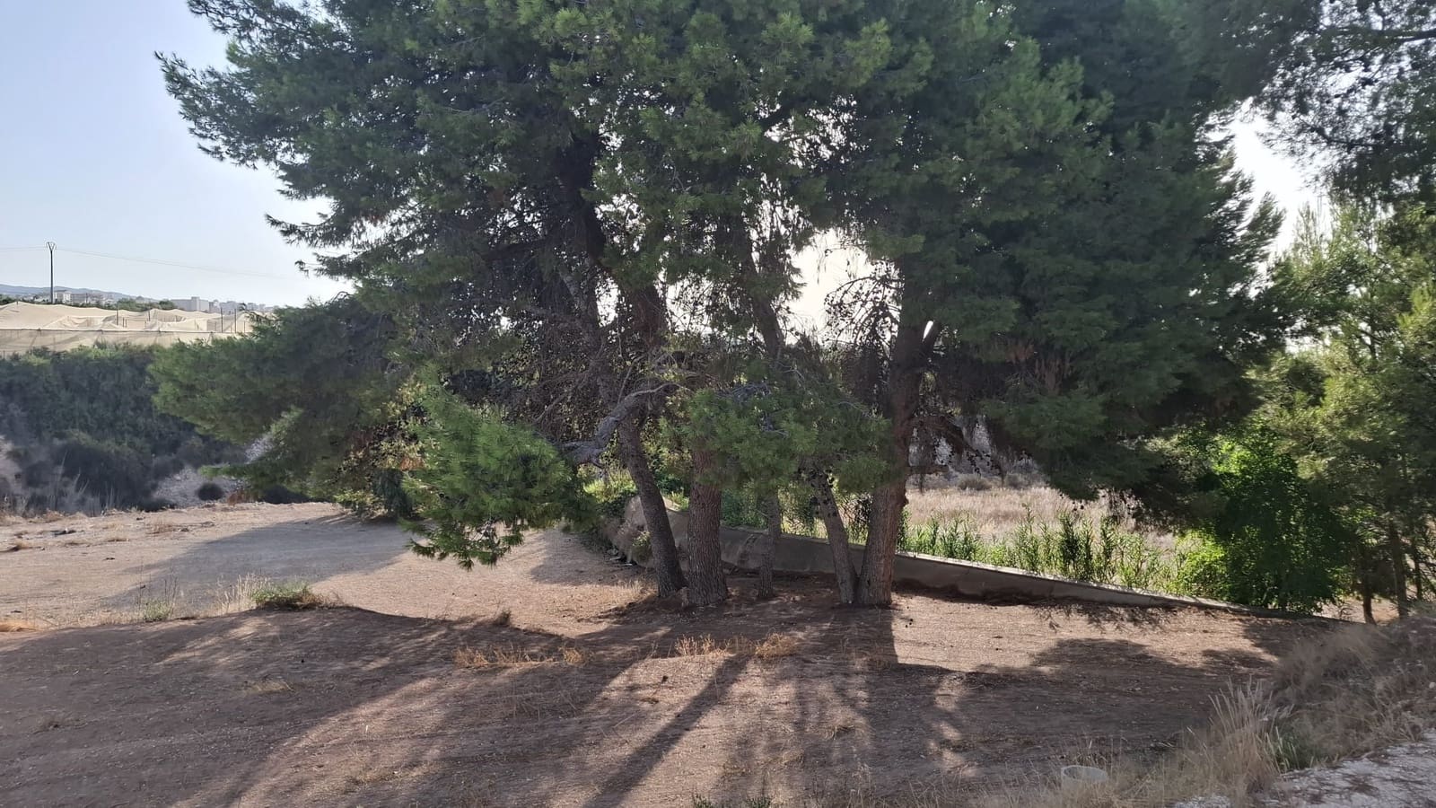 4 slaapkamer Bungalow te koop in Crevillente / Crevillent met garage - € 310.000 (Ref: 10016902)