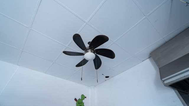 Gewerbe zu vermieten in Las Negras, Níjar - 600 € (Ref: 10072750)