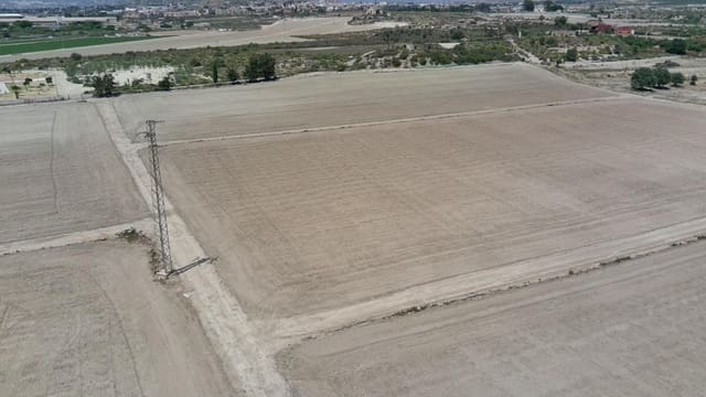 Terreno Não Urbanizado para venda em Vera - 350 000 € (Ref: 10072753)