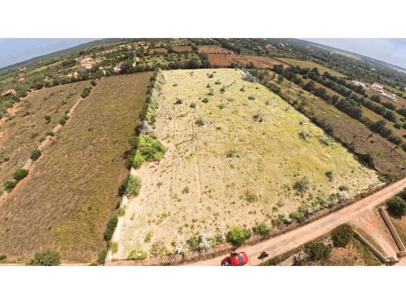 Byggetomt til salgs i Ses Salines - € 372 000 (Ref: 10072724)