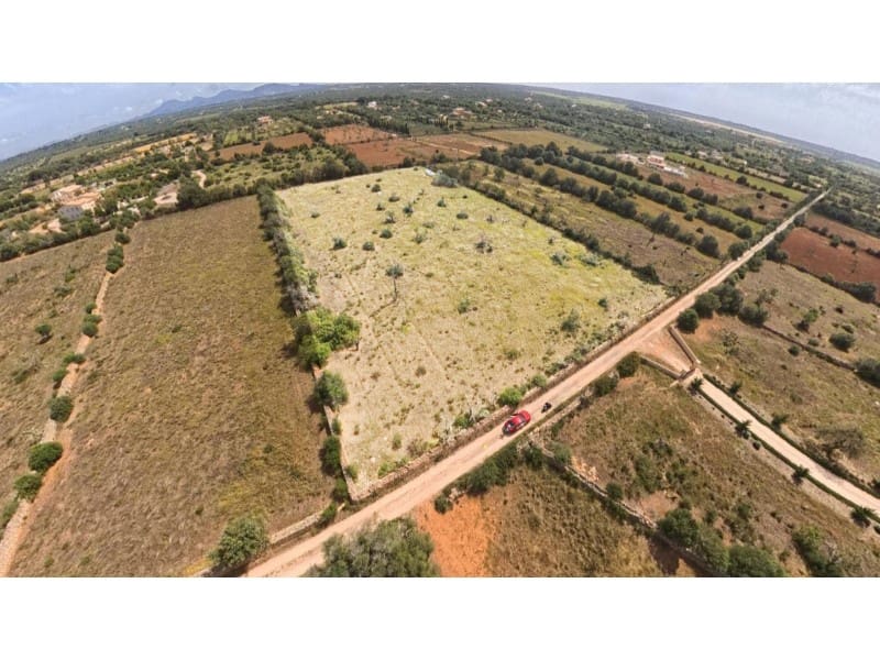 Byggetomt til salgs i Ses Salines - € 372 000 (Ref: 10072724)