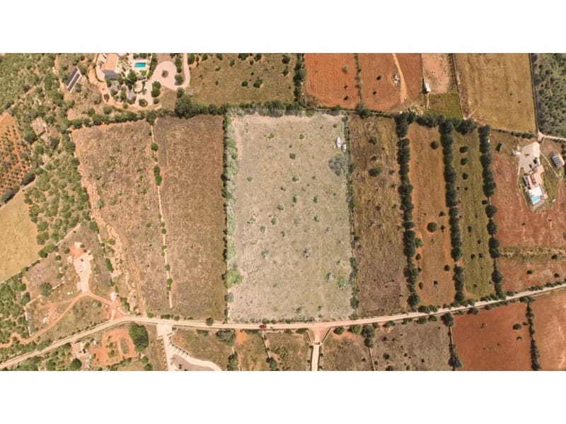 Byggetomt til salgs i Ses Salines - € 372 000 (Ref: 10072724)