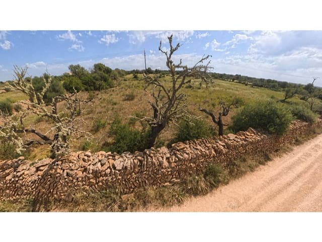 Byggetomt til salgs i Ses Salines - € 372 000 (Ref: 10072724)
