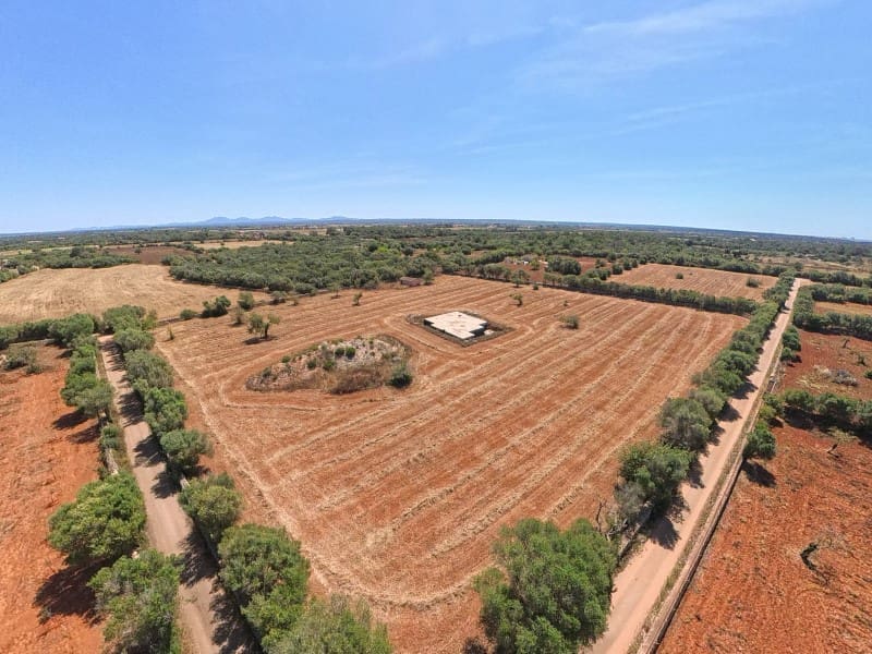 Area Edificabile in vendita in Campos - 450.000 € (Rif: 10072727)