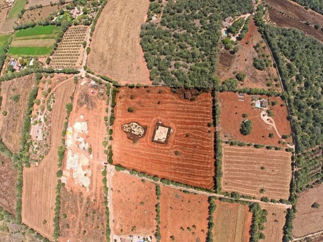 Area Edificabile in vendita in Campos - 450.000 € (Rif: 10072727)