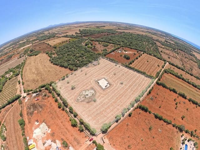 Area Edificabile in vendita in Campos - 450.000 € (Rif: 10072727)