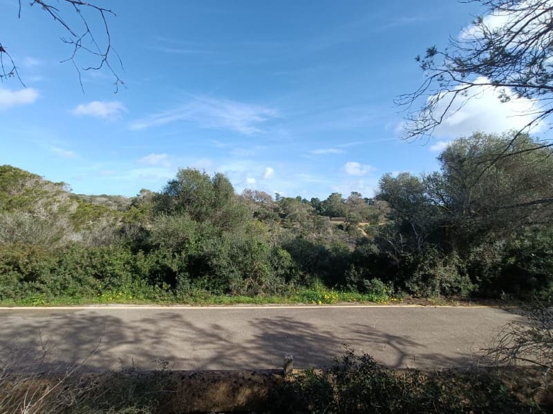 Teren niezagospodarowany na sprzedaż w Cala Llombards - 119 000 € (Ref: 10115653)