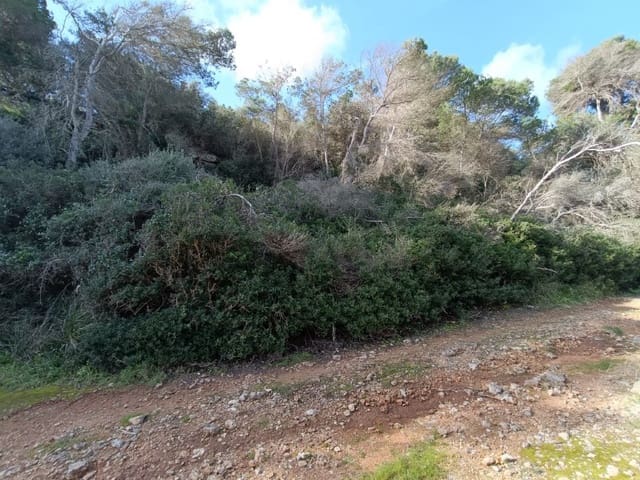 Teren niezagospodarowany na sprzedaż w Cala Llombards, Santanyí - 119 000 € (Ref: 10115653)