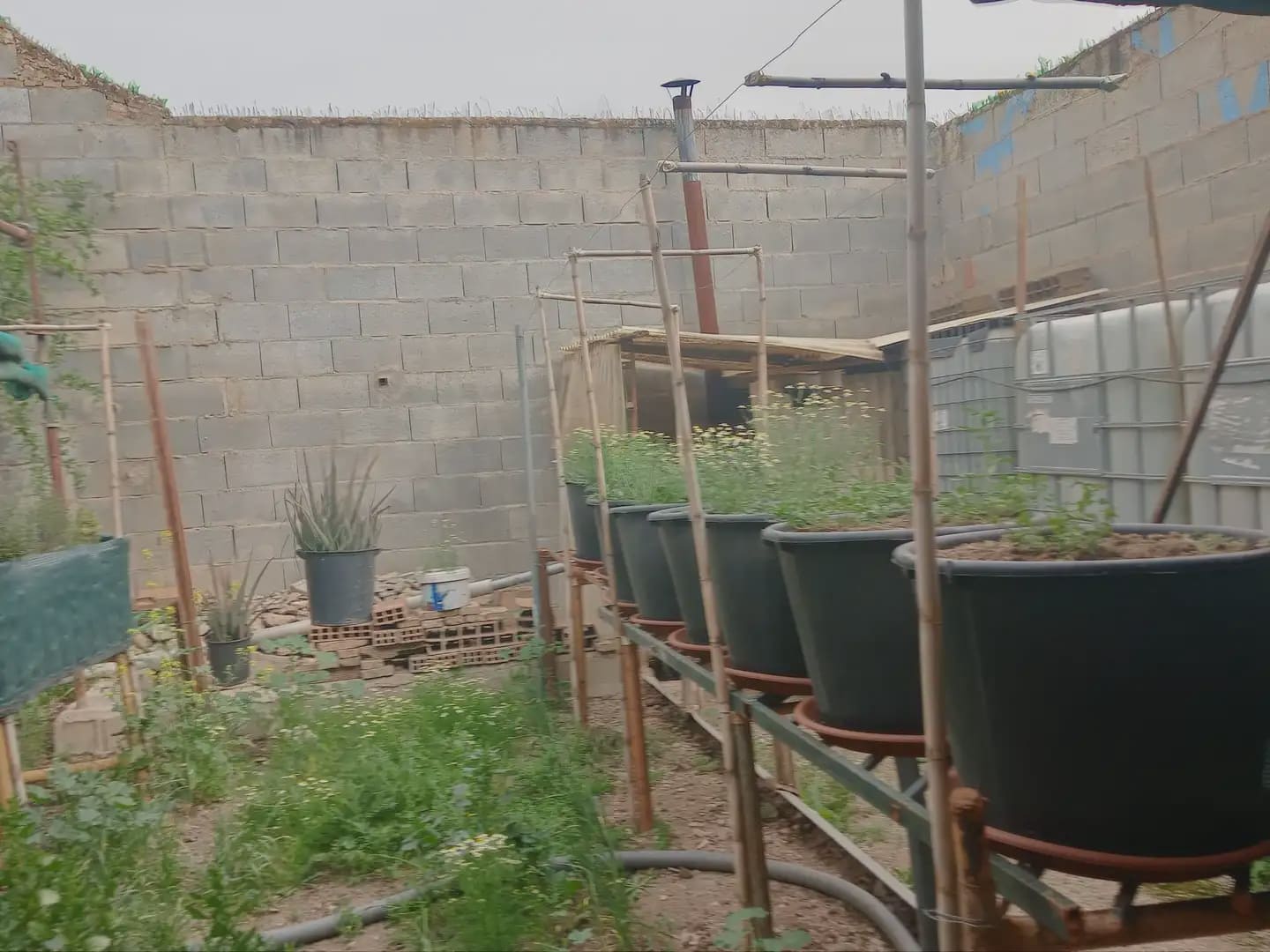 Commercial for sale in Pinos Puente - € 55,000 (Ref: 10047684)