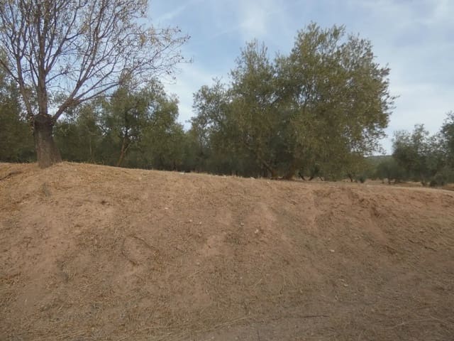 Terreno Non Edificato in vendita in Cogollos Vega - 21.000 € (Rif: 10047694)