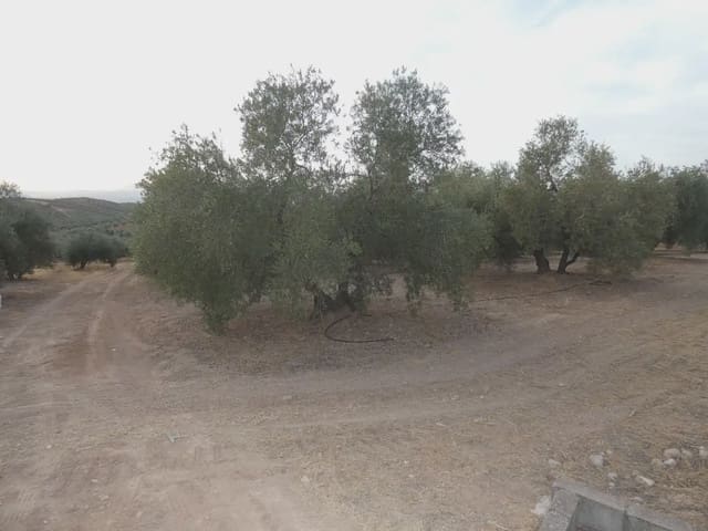 Terreno Non Edificato in vendita in Cogollos Vega - 21.000 € (Rif: 10047694)