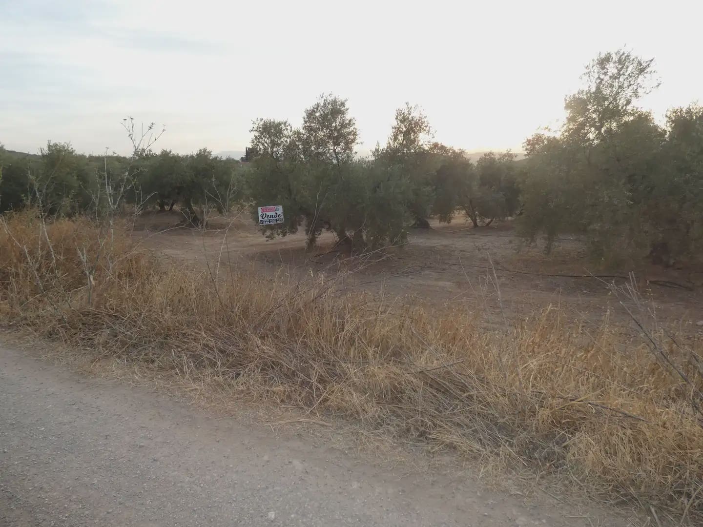 Terreno Non Edificato in vendita in Cogollos Vega - 21.000 € (Rif: 10047694)