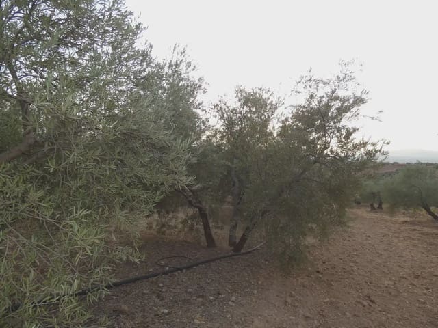 Terreno Non Edificato in vendita in Cogollos Vega - 21.000 € (Rif: 10047694)