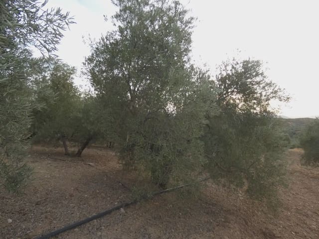 Terreno Non Edificato in vendita in Cogollos Vega - 21.000 € (Rif: 10047694)