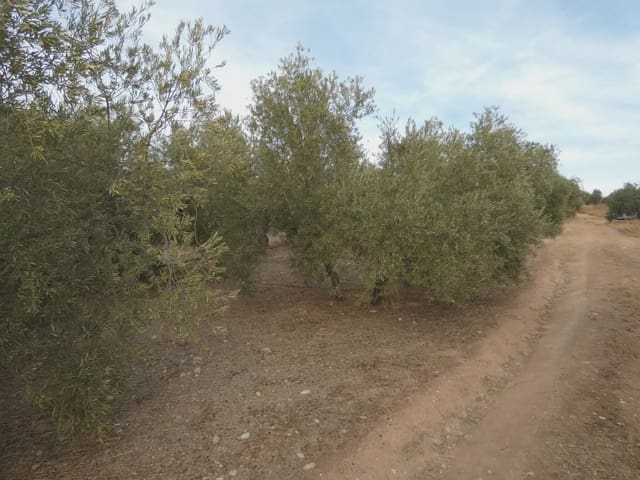 Terreno Non Edificato in vendita in Cogollos Vega - 21.000 € (Rif: 10047694)