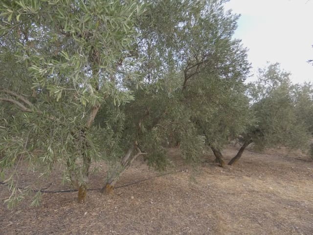 Terreno Non Edificato in vendita in Cogollos Vega - 21.000 € (Rif: 10047694)