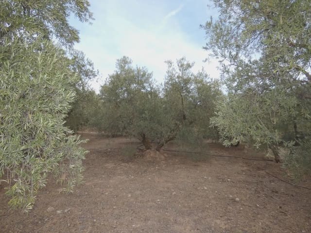 Terreno Non Edificato in vendita in Cogollos Vega - 21.000 € (Rif: 10047694)