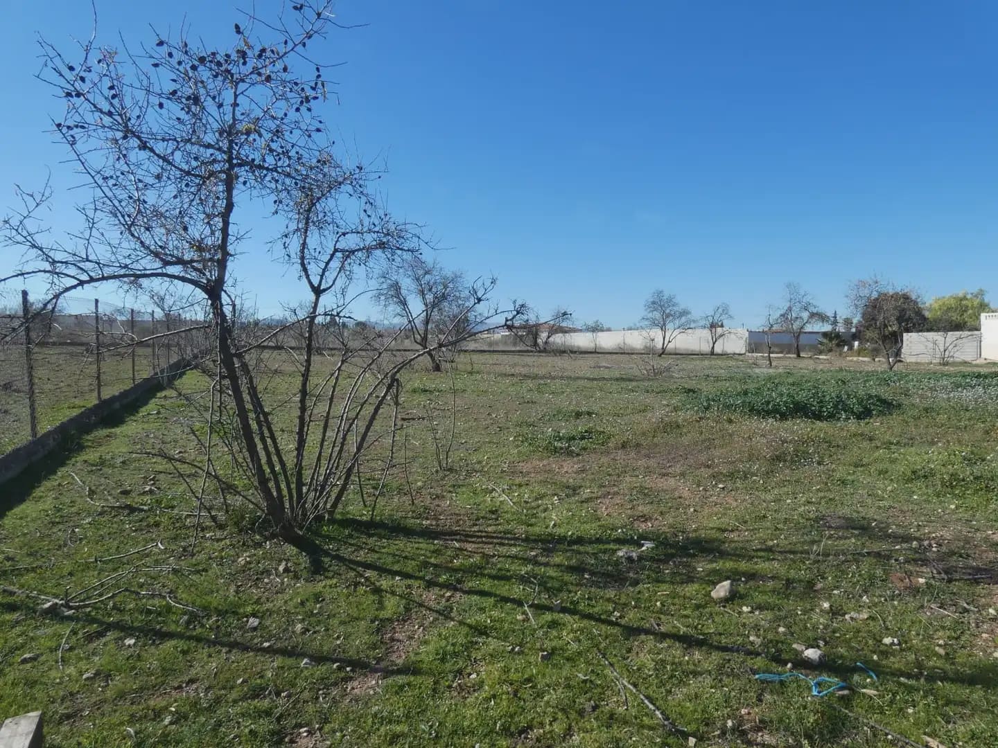 Landgrundstück zu verkaufen in Moraleda de Zafayona - 38.000 € (Ref: 10047710)