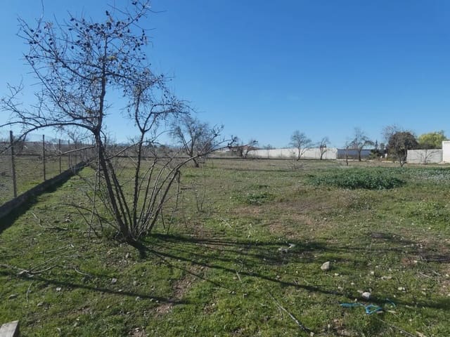 Terre non Aménagée à vendre à Moraleda de Zafayona - 38 000 € (Ref: 10047710)