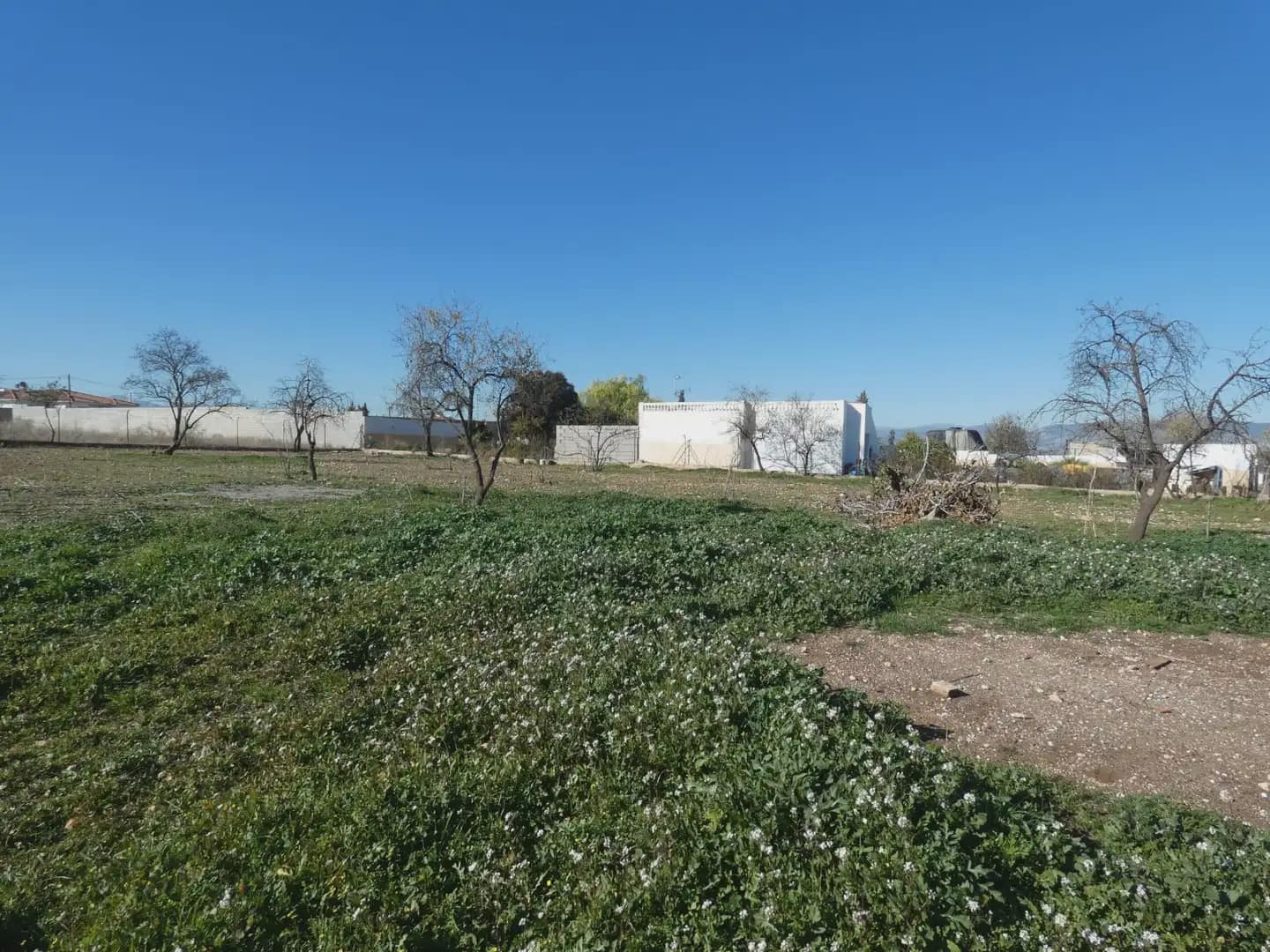 Landgrundstück zu verkaufen in Moraleda de Zafayona - 38.000 € (Ref: 10047710)