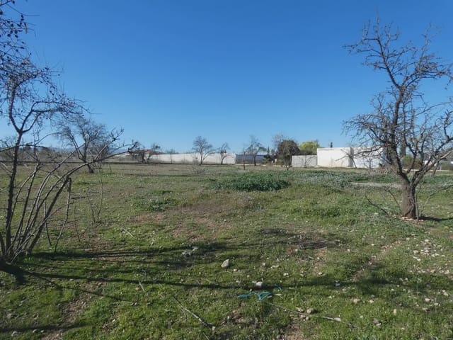 Terre non Aménagée à vendre à Moraleda de Zafayona - 38 000 € (Ref: 10047710)