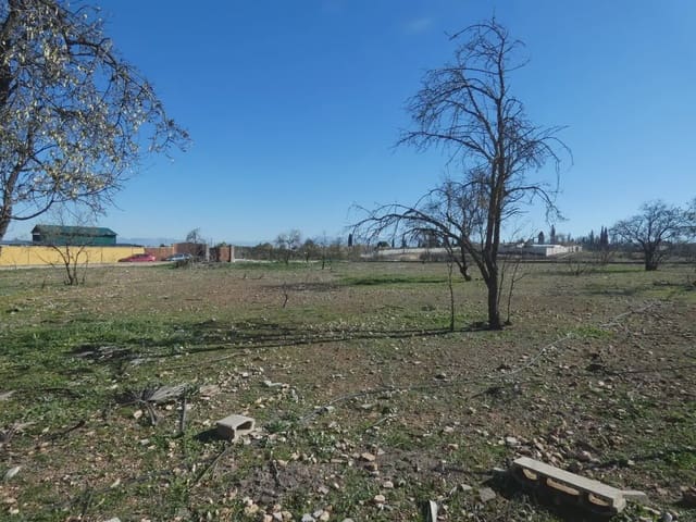 Terre non Aménagée à vendre à Moraleda de Zafayona - 38 000 € (Ref: 10047710)