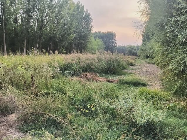 Terreno Não Urbanizado para venda em Fuente Vaqueros - 11 000 € (Ref: 10047711)