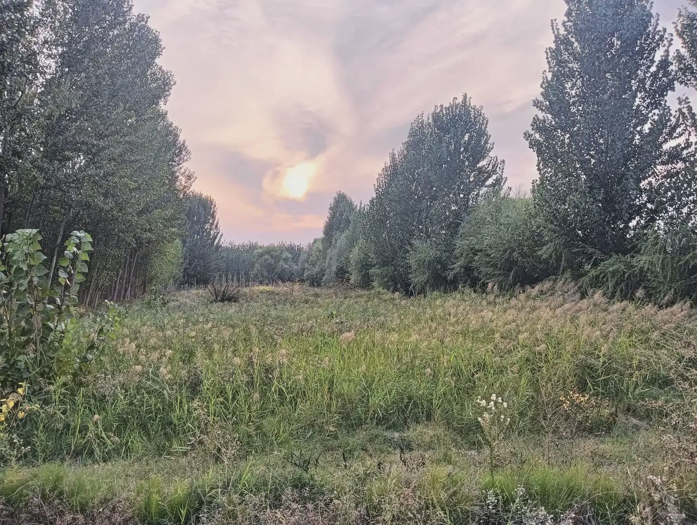 Undeveloped Land for sale in Fuente Vaqueros - € 11,000 (Ref: 10047711)
