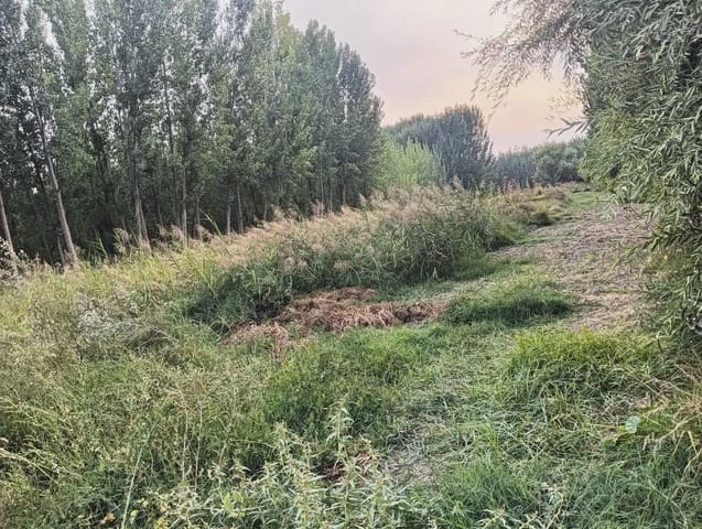 Terreno Não Urbanizado para venda em Fuente Vaqueros - 11 000 € (Ref: 10047711)