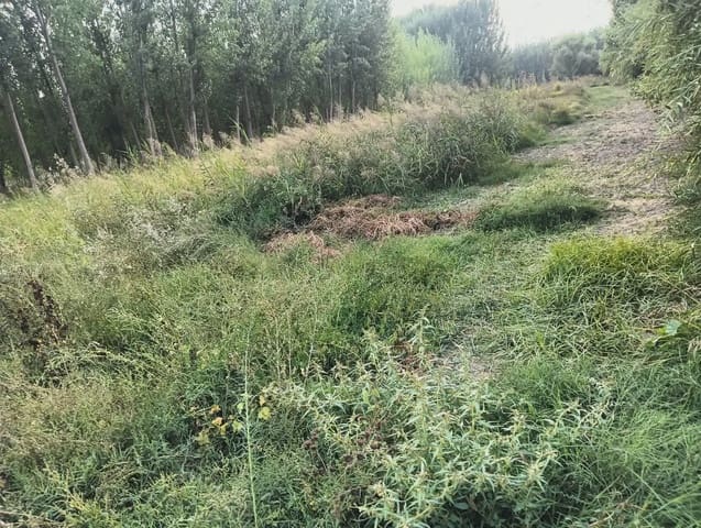 Terreno Não Urbanizado para venda em Fuente Vaqueros - 11 000 € (Ref: 10047711)