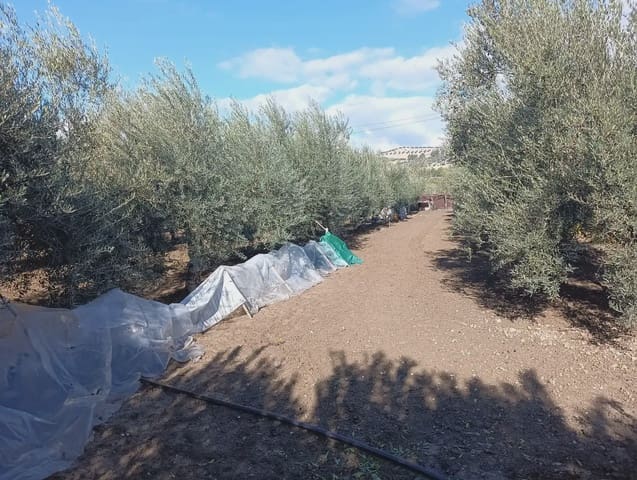 Quinta/Casa Rural para venda em Pinos Puente - 136 000 € (Ref: 10047716)