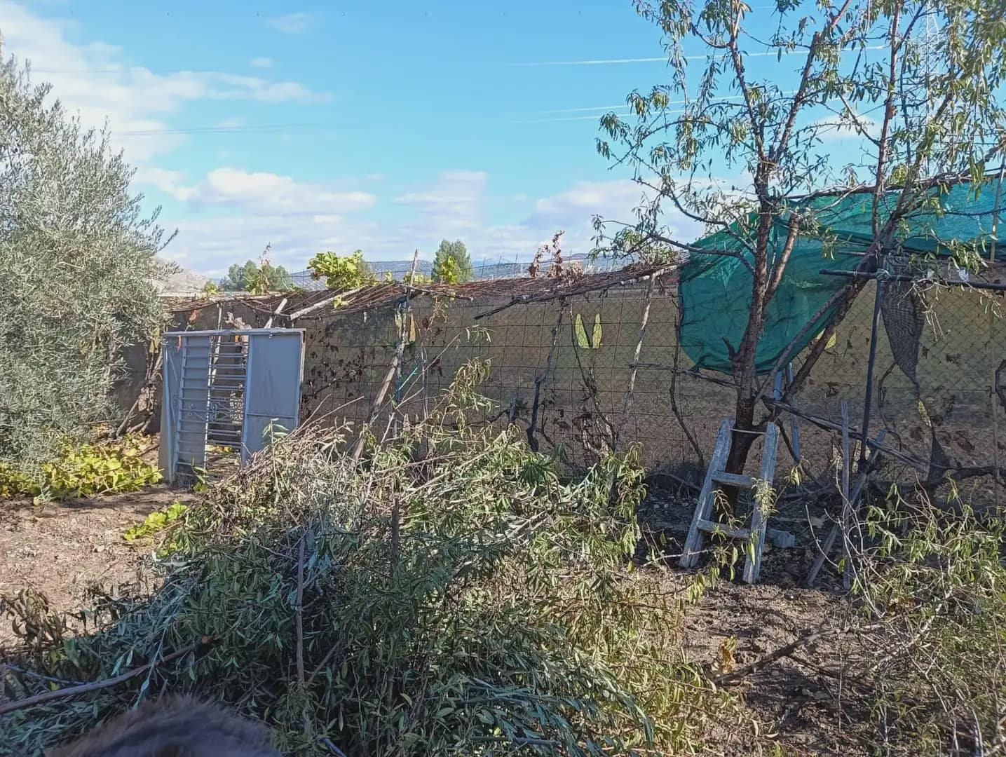 Finca/Casa Rural en Pinos Puente en venta - 136.000 € (Ref: 10047716)
